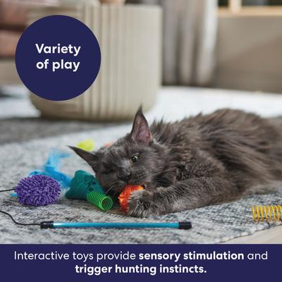 Show full view: Frisco Halloween Vibrant Ghosts Plush, Teaser, Spring & Ball Variety Pack Cat Toy with Silvervine & Catnip, 12 count slide 6 of 9