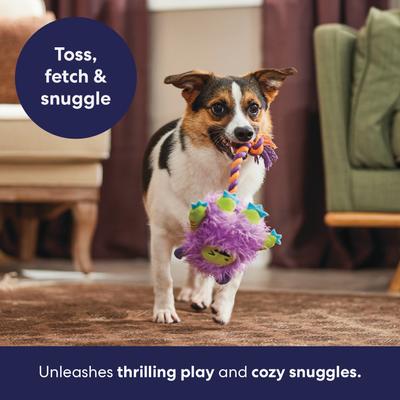 Show full view: Frisco Halloween Monster Plush with Rope Squeaky Dog Toy, Small/Medium slide 6 of 10