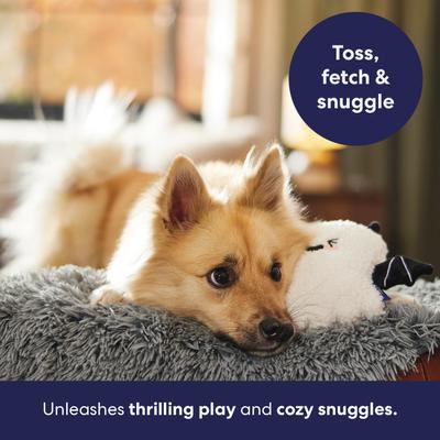 Show full view: Frisco Halloween Bat Ghost Plush Squeaky Dog Toy, Small/Medium slide 4 of 8