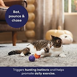 Frisco Halloween Lattice Rubber Balls with Crinkle & Compressed Silvervine & Catnip Cat Toy, 2 count slide 2 of 5