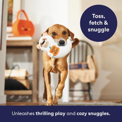 Show full view: Frisco Halloween Ghost Bear Plush Squeaky Dog Toy, Medium slide 5 of 9