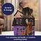 Show in main carousel: Frisco Halloween Haunted Victorian Mansion Cardboard Cat House with Silvervine & Catnip, 2-Story slide 5 of 7