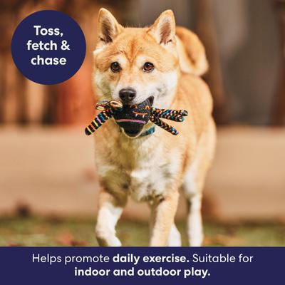 Show full view: Frisco Halloween Fetch Squeaky Tennis Ball Dog Toy, Spider, Medium, 1 count slide 4 of 8