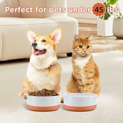 SpunkyJunky Ceramic Patterned Non-Slip Dog Bowls, 2 count, 3.6 cup slide 2 of 6