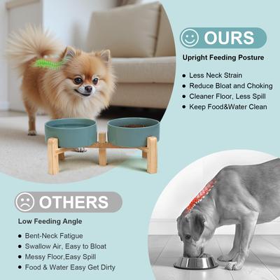 Show full view: SpunkyJunky Ceramic & Bamboo Non-Slip Elevated Dog Bowls, 2 count, Dark Green, 1.7 cup slide 3 of 7