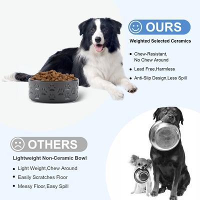 Show full view: SpunkyJunky Ceramic Non-Slip Paw Print Dog Bowls, 2 count, Black, 5.3 cup slide 3 of 6