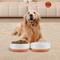 Show in main carousel: SpunkyJunky Ceramic Patterned Non-Slip Dog Bowls, 2 count, 7.6 cup slide 6 of 6