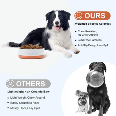 Show full view: SpunkyJunky Ceramic Patterned Non-Slip Dog Bowls, 2 count, 5.3 cup slide 3 of 6