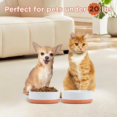 Show full view: SpunkyJunky Ceramic Patterned Non-Slip Dog Bowls, 2 count, 1.7 cup slide 6 of 6