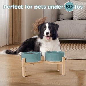SpunkyJunky Ceramic & Bamboo Non-Slip Elevated Dog Bowls, 2 count, Dark Green, 5.3 cup
