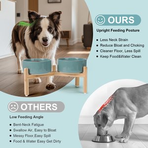 SpunkyJunky Ceramic & Bamboo Non-Slip Elevated Dog Bowls, 2 count, Dark Green, 5.3 cup