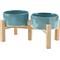 Show in main carousel: SpunkyJunky Ceramic & Bamboo Non-Slip Elevated Dog Bowls, 2 count, Dark Green, 3.6 cup slide 1 of 7