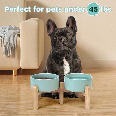 Show full view: SpunkyJunky Ceramic & Bamboo Non-Slip Elevated Dog Bowls, 2 count, Light Green, 3.6 cup slide 7 of 7