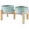 Show in main carousel: SpunkyJunky Ceramic & Bamboo Non-Slip Elevated Dog Bowls, 2 count, Light Green, 3.6 cup slide 1 of 7