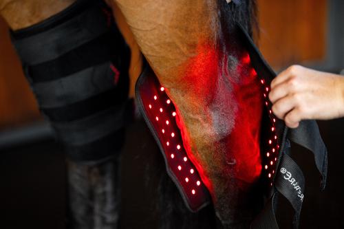 Show full view: Horseware Ireland LED Red Light Therapy Horse Right Hock Boot, Black, Full slide 2 of 5