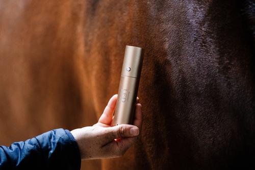 Show full view: Horseware Ireland LED Red Light Therapy Horse Wand, Black slide 2 of 5