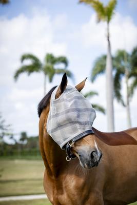 Show full view: Horseware Ireland Newmarket No Ears Horse Fly Mask, Witney Charcoal, Cob slide 2 of 3