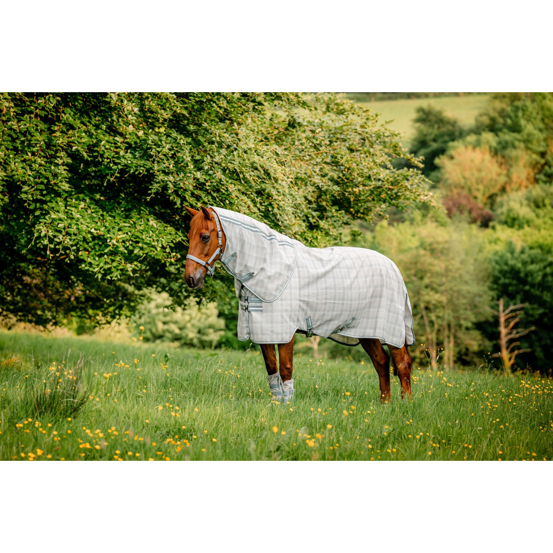Horseware Newmarket Plus 0g Horse Fly Sheet, Witney Charcoal, 66-in