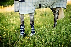 Horseware Ireland Newmarket Horse Fly Boots, Witney Navy, Horse slide 2 of 2