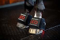 Horseware Ireland LED Red Light Therapy Horse Mini Wrap, Black, 1 count