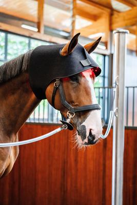 Show full view: Horseware Ireland LED Red Light Therapy Horse Poll Cap, Black, Full slide 6 of 6