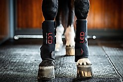Horseware Ireland LED Red Light Therapy Horse Right Leg Wrap, Black, Full
