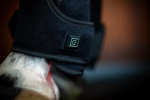 Show full view: Horseware Ireland LED Red Light Therapy Horse Right Leg Wrap, Black, Full slide 4 of 4