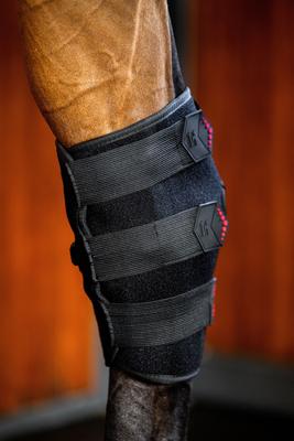 Show full view: Horseware Ireland LED Red Light Therapy Horse Right Hock Boot, Black, Full slide 4 of 5