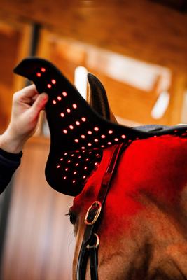 Show full view: Horseware Ireland LED Red Light Therapy Horse Poll Cap, Black, Full slide 4 of 6