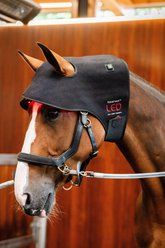 Horseware Ireland LED Red Light Therapy Horse Poll Cap, Black, Full