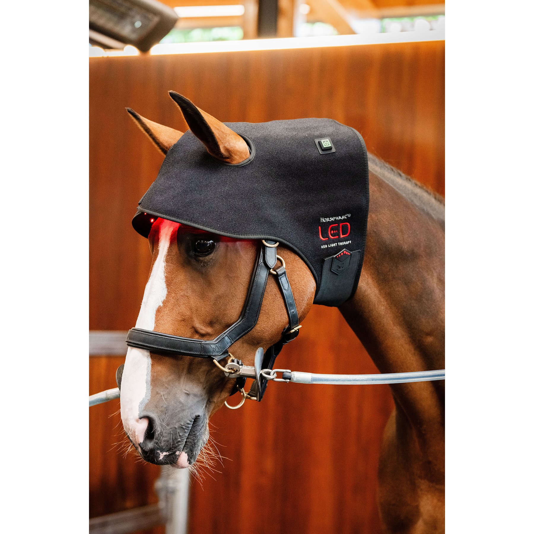 Horseware LED Red Light Therapy Horse Poll Cap, Black, Full