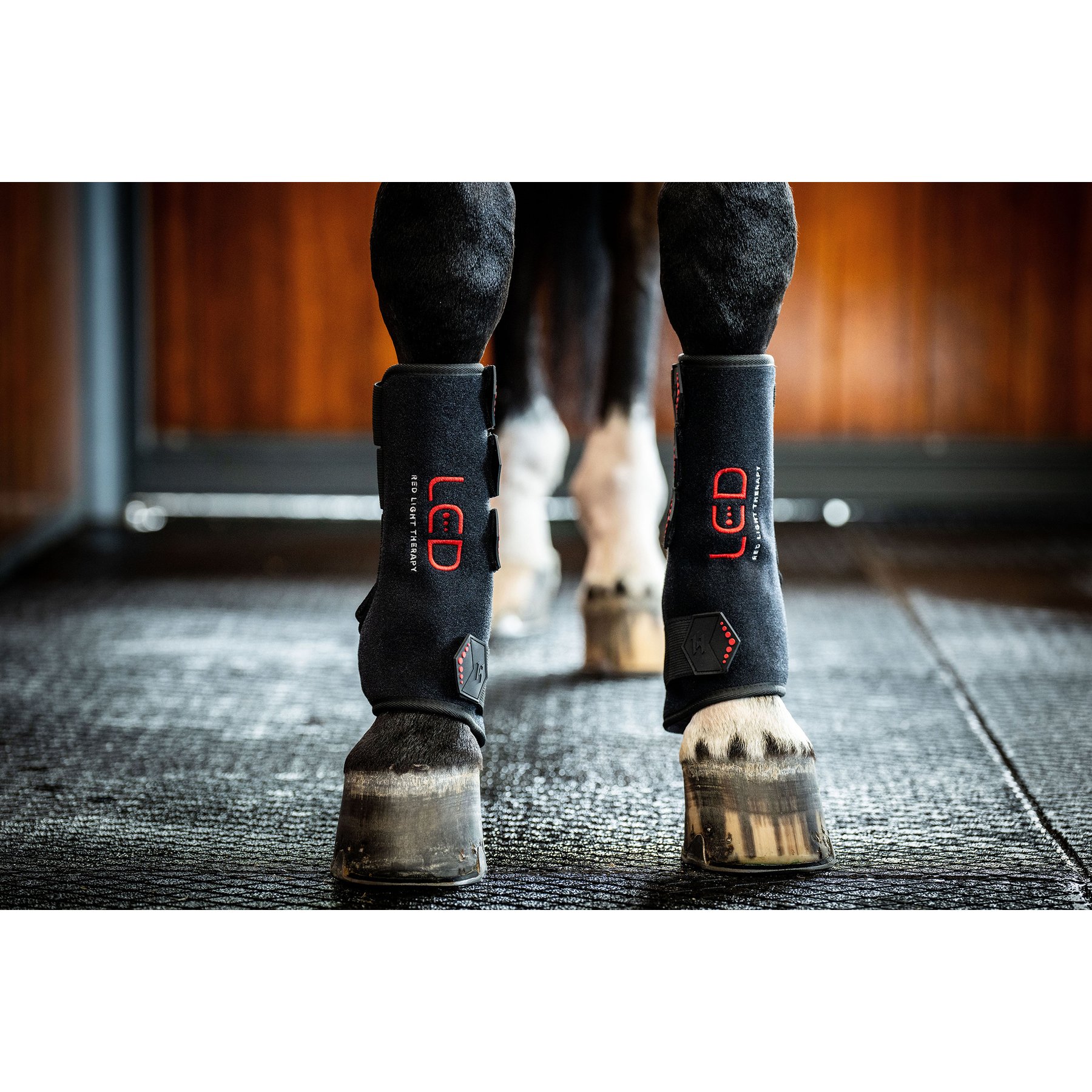 Horseware LED Red Light Therapy Horse Left Leg Wrap, Black, Full