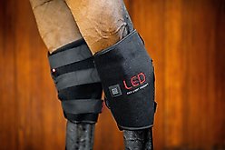 Horseware Ireland LED Red Light Therapy Horse Left Hock Boot, Black, Full