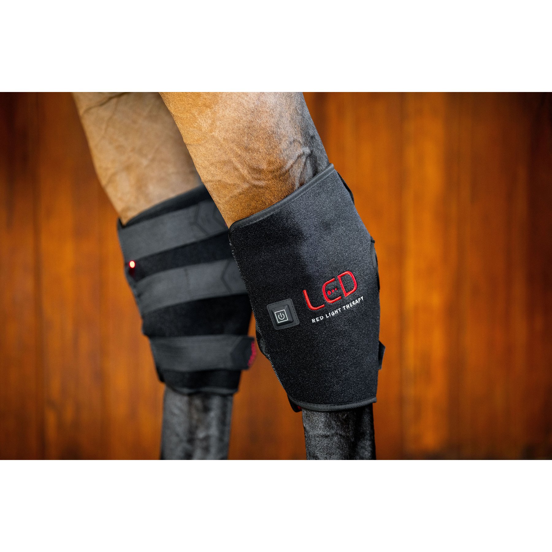 Horseware LED Red Light Therapy Horse Left Hock Boot, Black, Full
