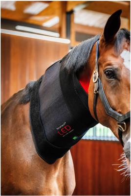 Show full view: Horseware Ireland LED Red Light Therapy Horse Pad, Black slide 5 of 5