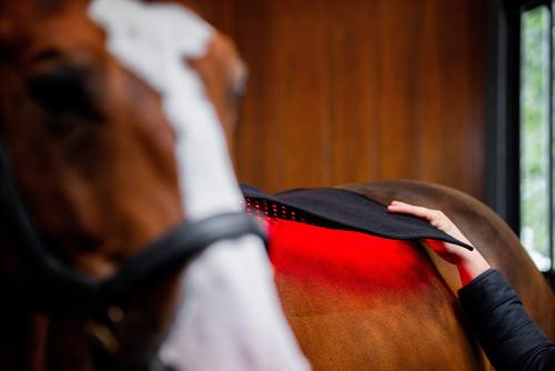 Show full view: Horseware Ireland LED Red Light Therapy Horse Pad, Black slide 4 of 5
