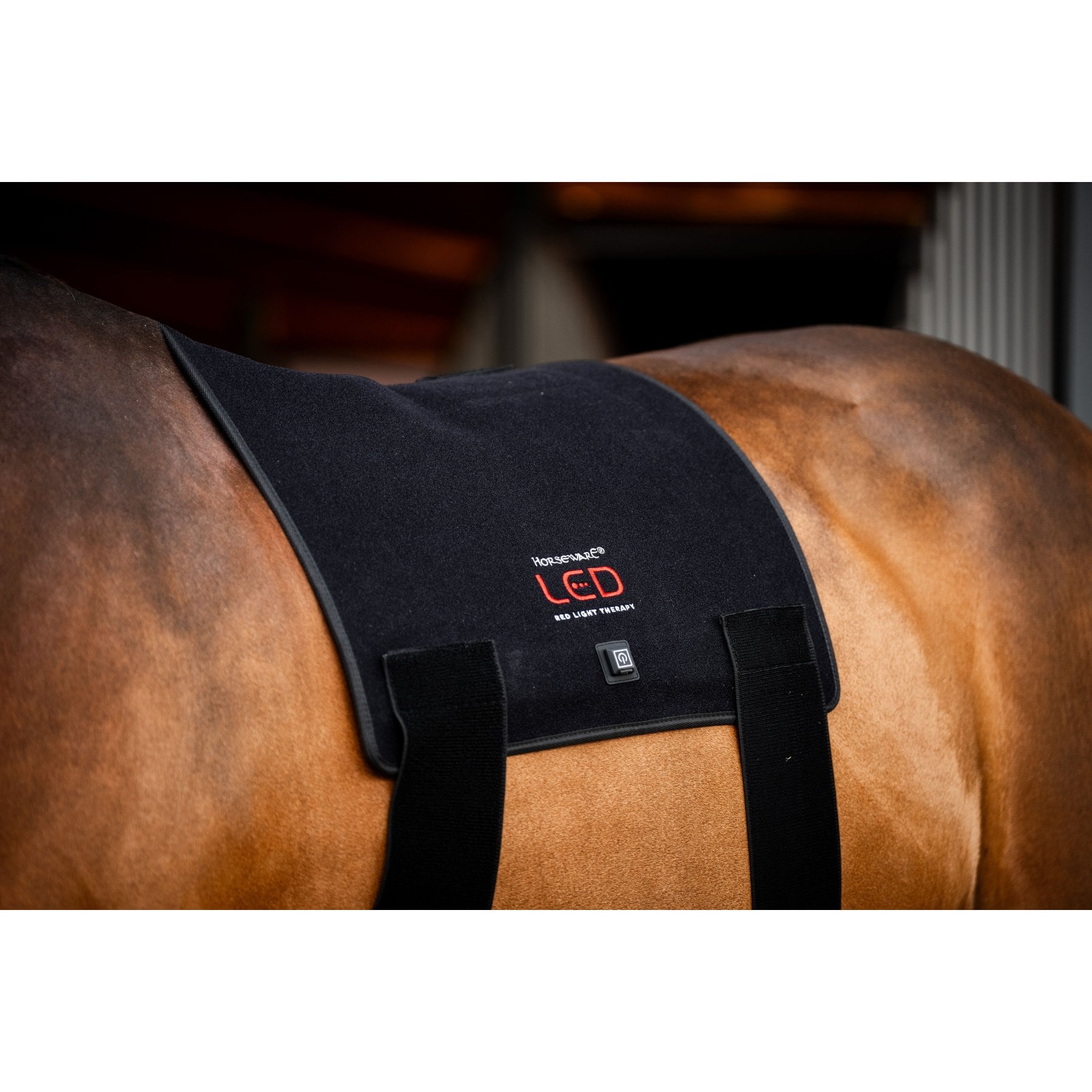 Horseware Ireland LED Red Light Therapy Horse Pad, Black