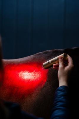 Show full view: Horseware Ireland LED Red Light Therapy Horse Wand, Black slide 3 of 5