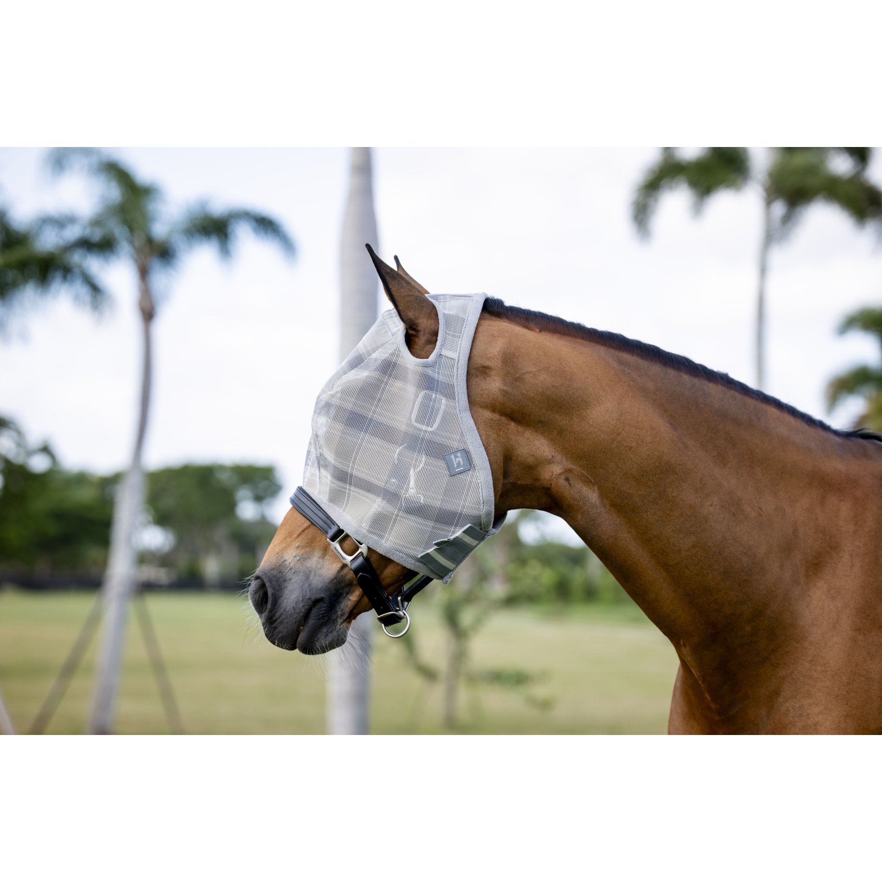 Horseware Newmarket No Ears Horse Fly Mask, Witney Charcoal, Horse
