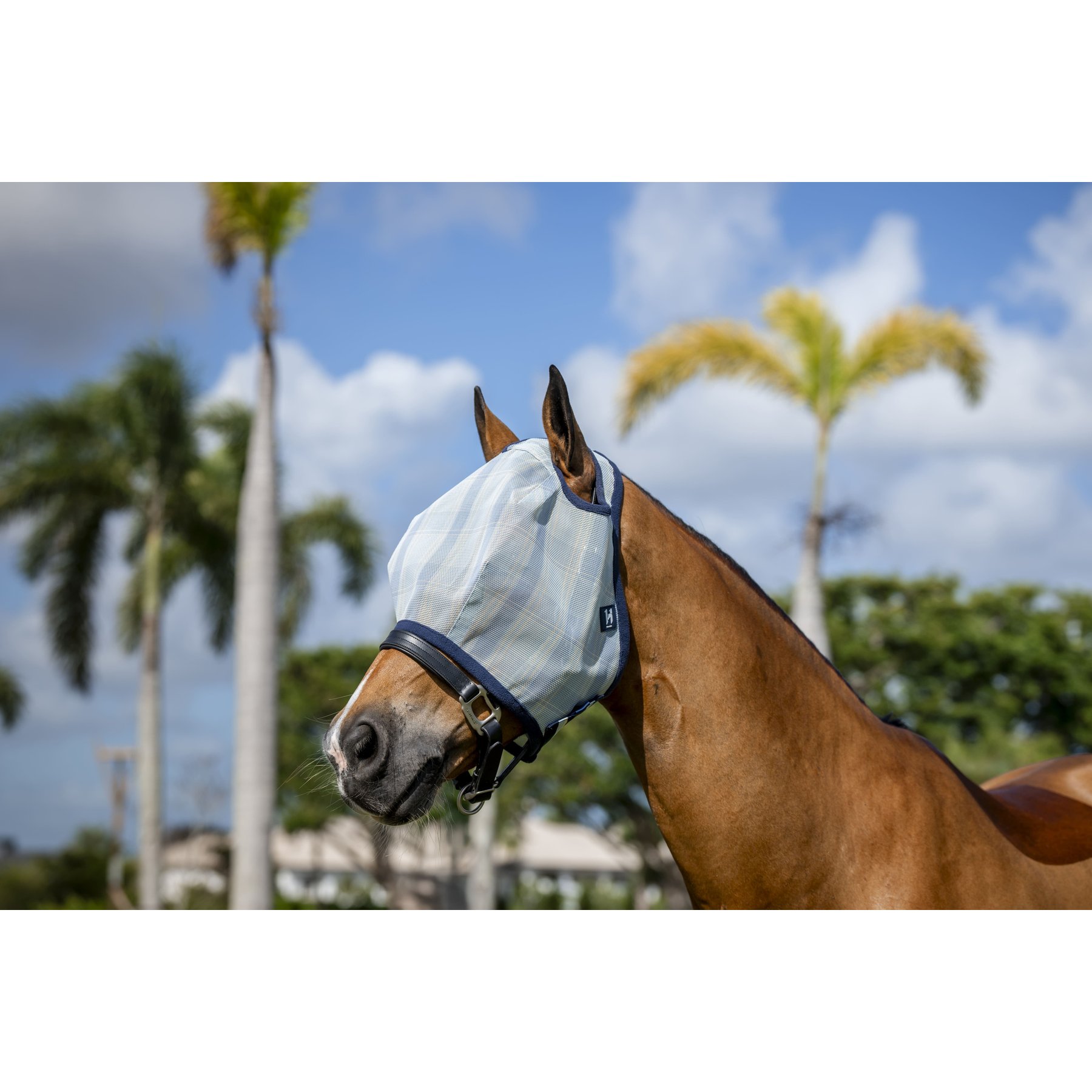 Horseware Newmarket No Ears Horse Fly Mask, Witney Navy, Pony