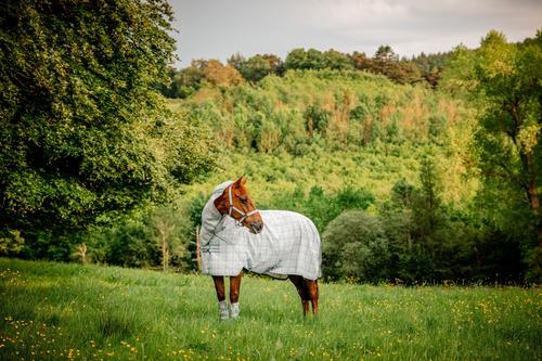 Show full view: Horseware Ireland Newmarket Plus 0g Horse Fly Sheet, Witney Charcoal, 78-in slide 2 of 2