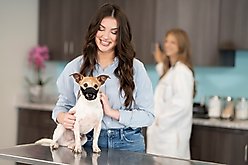 PetSafe Dog Muzzle, Black, Small slide 2 of 6