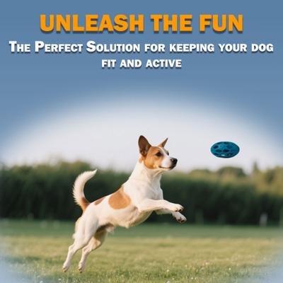 Show full view: allforpaws Meta Ball Wiggle Holey Roller Dog Chew Toy, Blue, Small slide 4 of 10