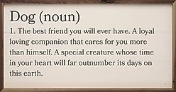 Kendrick Dog Definition Wall Décor, White, 40 x 20-in