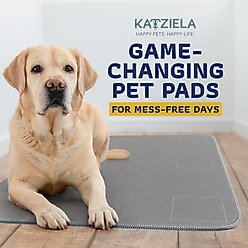 Katziela Washable Dog Pee Pads, 34 x 36-in, 2 count slide 2 of 8