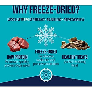 Stewart Beef Liver Single Ingredient Freeze-Dried Raw Dog Treats, 21-oz tub