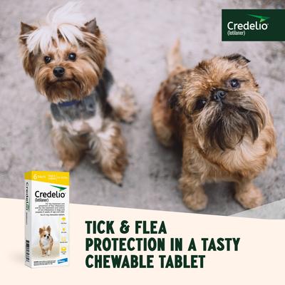 Show full view: Credelio Chewable Tablet for Dogs, 4.4-6 lbs, (Yellow Box), 6 Chewable Tablets (6-mos. supply) slide 7 of 10