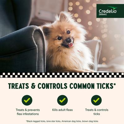 Show full view: Credelio Chewable Tablet for Dogs, 4.4-6 lbs, (Yellow Box), 6 Chewable Tablets (6-mos. supply) slide 4 of 10