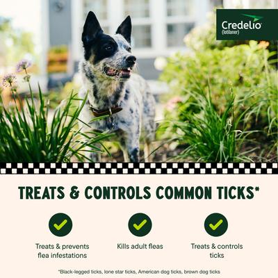 Show full view: Credelio Chewable Tablet for Dogs, 25.1-50 lbs, (Green Box), 6 Chewable Tablets (6-mos. supply) slide 4 of 10