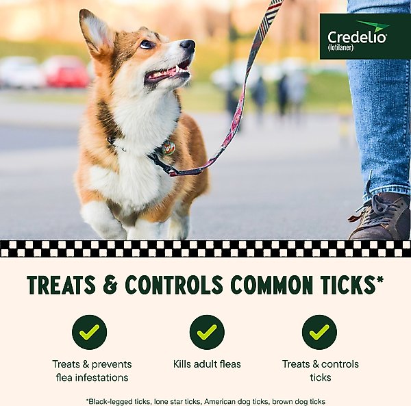 Credelio Chewable Tablet for Dogs, 12.1-25 lbs, (Orange Box)